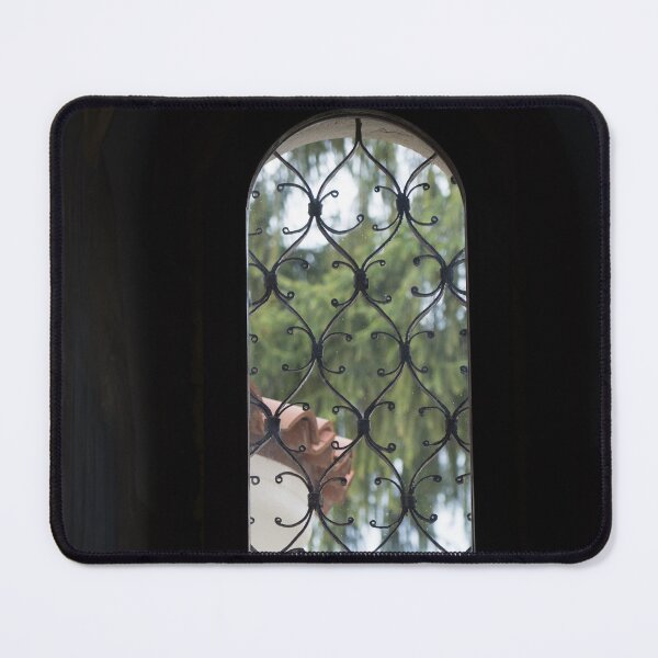 Item preview, Medieval Church Window with Ornate Ironwork designed and sold by Georgia Mizuleva.