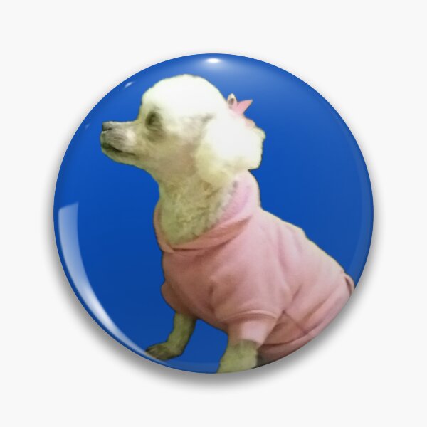 Item preview, My Beloved White Toy Poodle Photography on a Blue Background designed and sold by Victoria Rose.