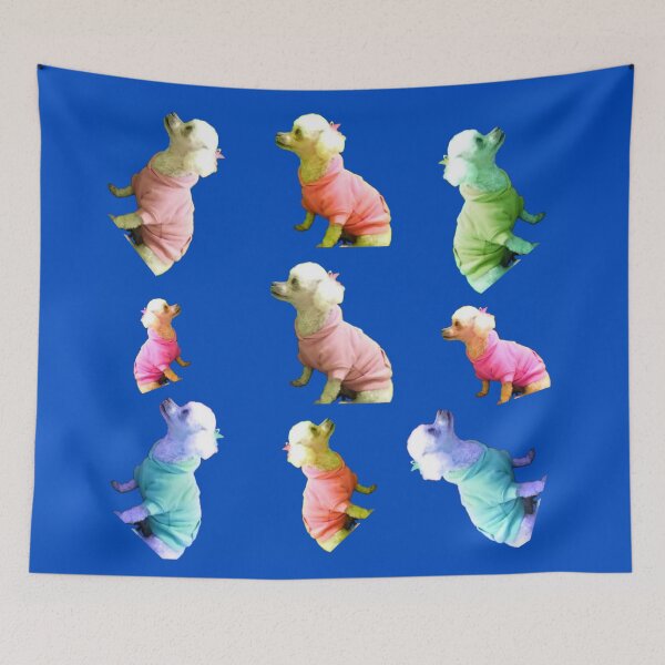 Item preview, My Beloved White Toy Poodle Photography on a Blue Background designed and sold by Victoria Rose.