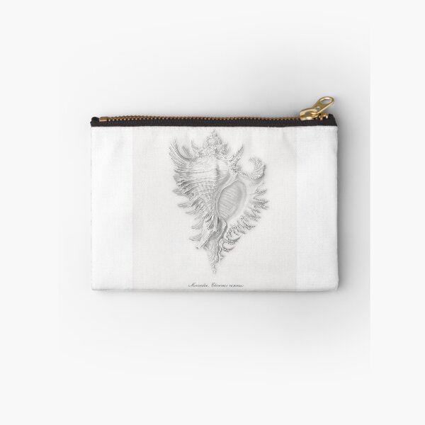 Item preview, Sea Shell, SeaShell, Vintage Sea Shell Art Print, Ammonite, Black and White designed and sold by maxa0109.