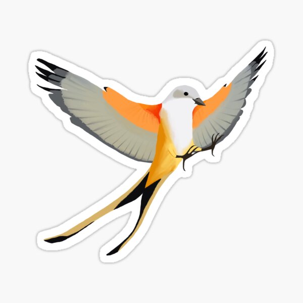 Item preview, Scissor-tailed Flycatcher designed and sold by Joe Hernandez.
