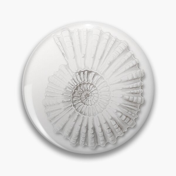 Artikelvorschau, Muschel, Nautilus Pompilius, Muschel, Vintage Muschel Kunstdruck, Muschel Dekor entworfen und verkauft von maxa0109.