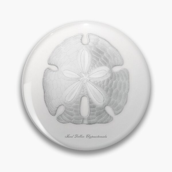 Item preview, Sand Dollar, Sea Shell, Vintage Sea shell Print, Seashell art designed and sold by maxa0109.