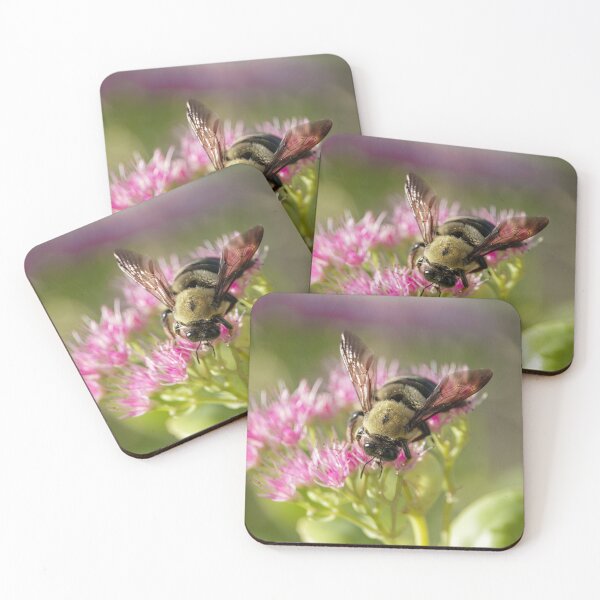 Item preview, Bumble Bee designed and sold by BydandBay.