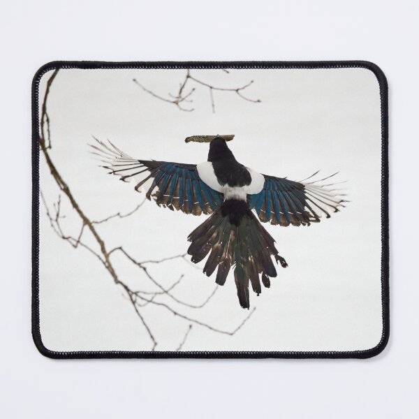 Item preview, Something for the nest. Eurasian magpie designed and sold by Jouko Lehto Photography.