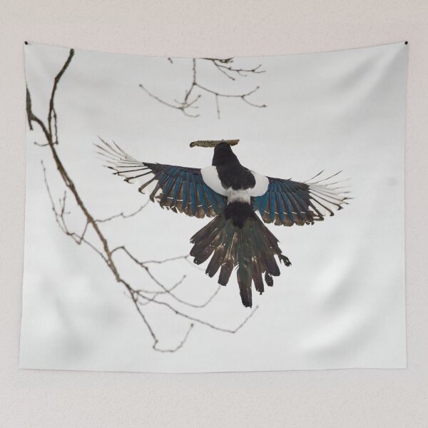 Item preview, Something for the nest. Eurasian magpie designed and sold by Jouko Lehto Photography.