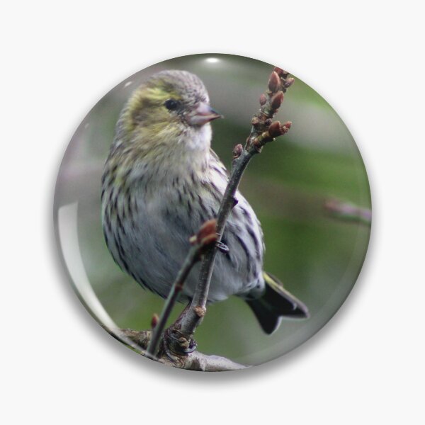 Item preview, siskin designed and sold by KathleenDawson.
