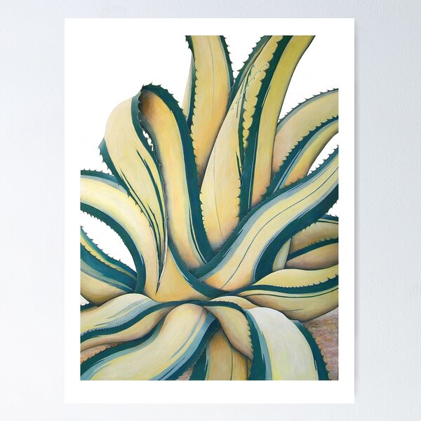 Item preview, Agave america. ver. Media picta; Alba  designed and sold by RParkinson1.