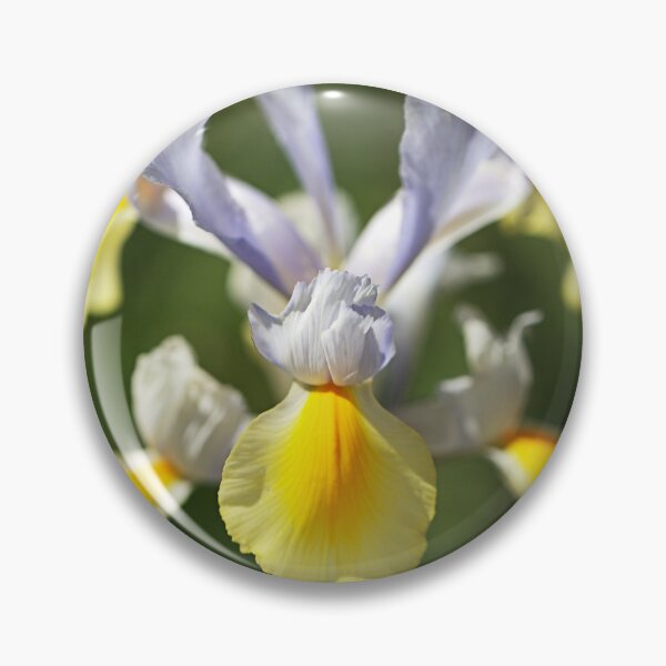 Item preview, Dutch Iris Full Flowering Display designed and sold by Joy Watson - Natural Light Photography .