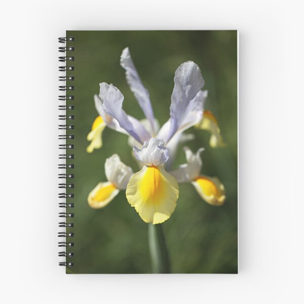 Item preview, Dutch Iris Full Flowering Display designed and sold by Joy Watson - Natural Light Photography .