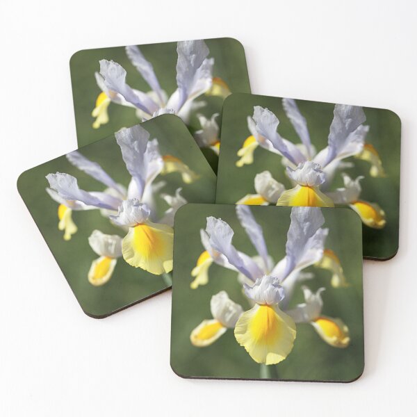 Item preview, Dutch Iris Full Flowering Display designed and sold by Joy Watson - Natural Light Photography .