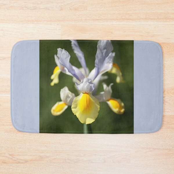 Item preview, Dutch Iris Full Flowering Display designed and sold by Joy Watson - Natural Light Photography .