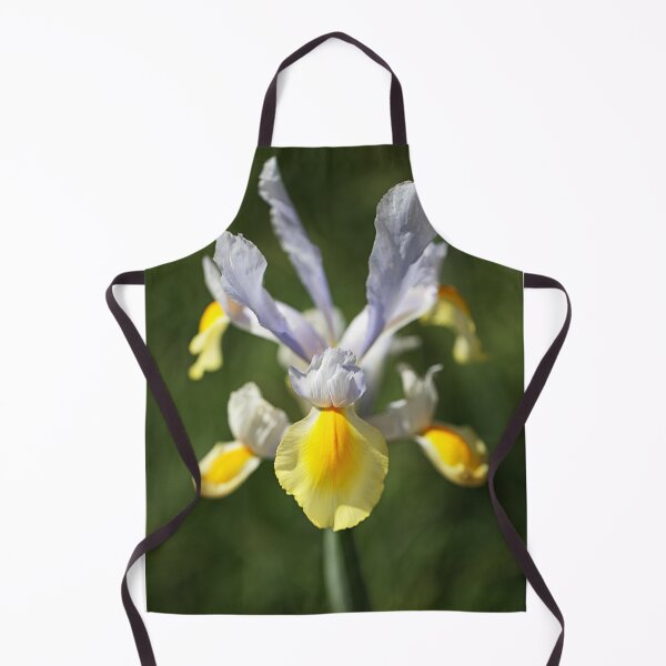 Item preview, Dutch Iris Full Flowering Display designed and sold by Joy Watson - Natural Light Photography .