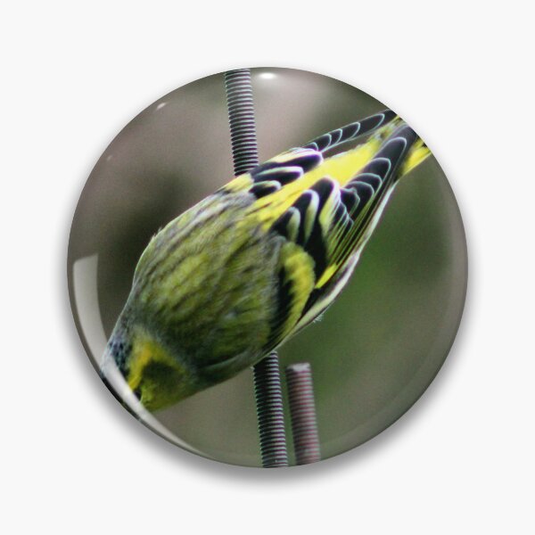 Item preview, siskin designed and sold by KathleenDawson.