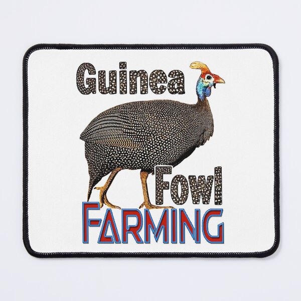 Item preview, Guinea Fowl; Kanga; Farming;  designed and sold by StickerApe.