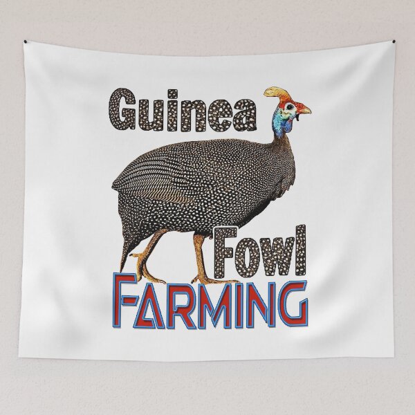 Item preview, Guinea Fowl; Kanga; Farming;  designed and sold by StickerApe.