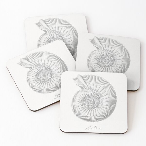 Item preview, Sea Shell, SeaShell, Nautilus Pompilius, Vintage Sea Shell Art Print, Sea Shell Decor designed and sold by maxa0109.