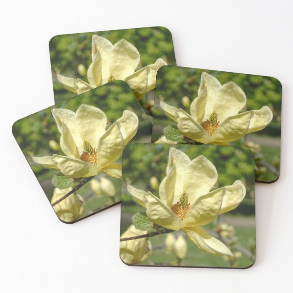 Item preview, Magnolia Flower  designed and sold by Alisonchambers2.