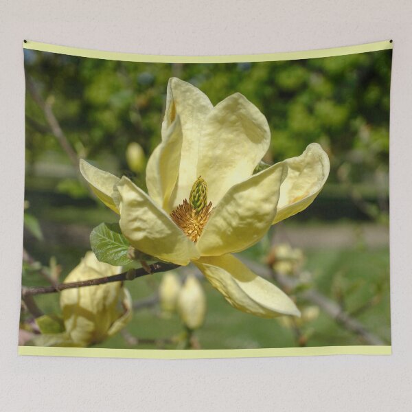 Item preview, Magnolia Flower  designed and sold by Alisonchambers2.