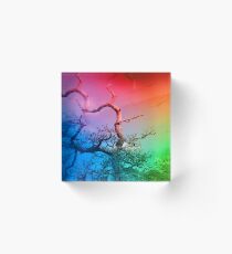 58 Acrylblock