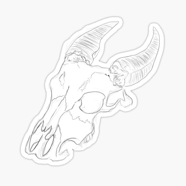 Skull of a Tamaraw Sticker