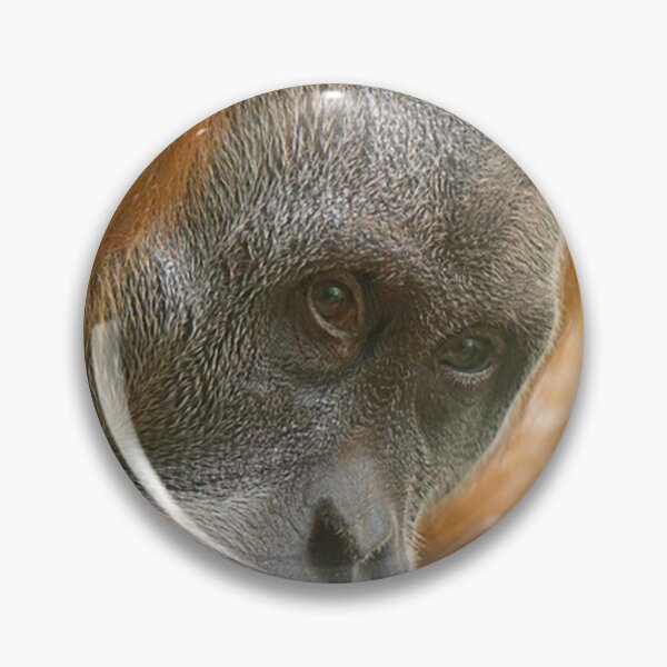 Item preview, ORANGUTAN OF BORNEO designed and sold by alitvfilm.
