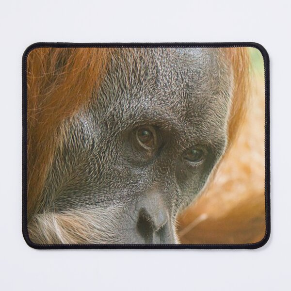 Item preview, ORANGUTAN OF BORNEO designed and sold by alitvfilm.