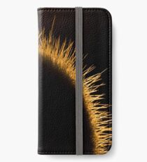 Nature Photography | Cactus and Sunset iPhone Wallet/Case/Skin