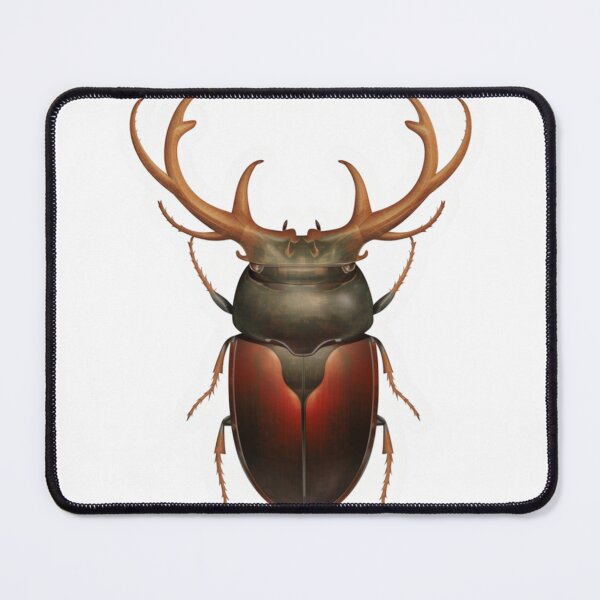 Item preview, deer beetle stiker designed and sold by zozquert.