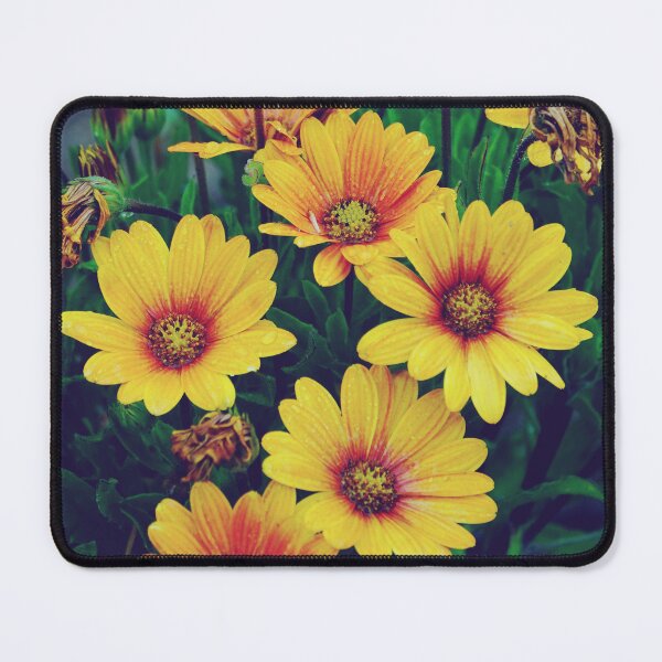 Item preview, Captivating Daisies - Aesthetic Flowers in Bloom designed and sold by CarolinaReina.