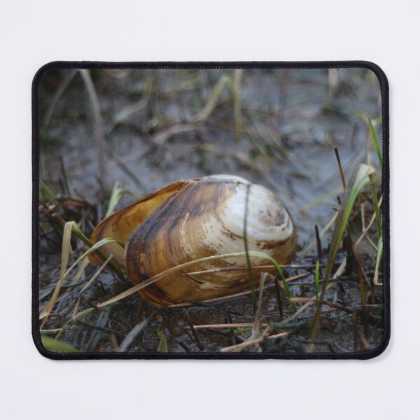 Item preview, Opened clam shell, mussel close up designed and sold by mrivserg.
