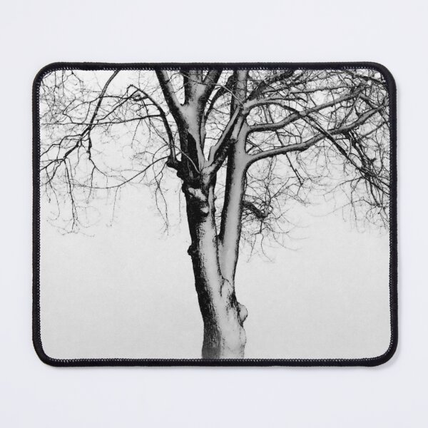 Item preview, The Winter Tree - BW designed and sold by Brian Shaw.