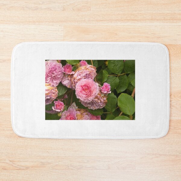 Item preview, Rose bush designed and sold by Erwin G. Kotzab.