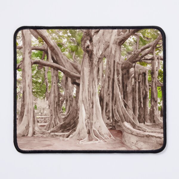 Item preview, Magnificent banyan tree in watercolor designed and sold by crumbs-of-life.