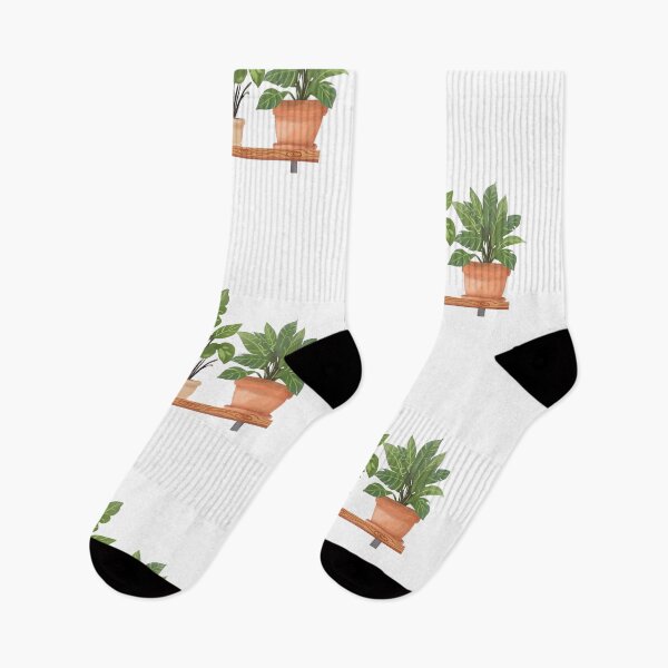 Item preview, House plant in pot on shelf for decorations. designed and sold by Jayjaynaenae.