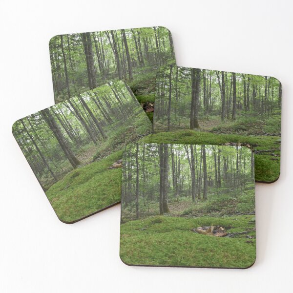 Item preview, A deciduous forest in summer designed and sold by Claude Laprise.