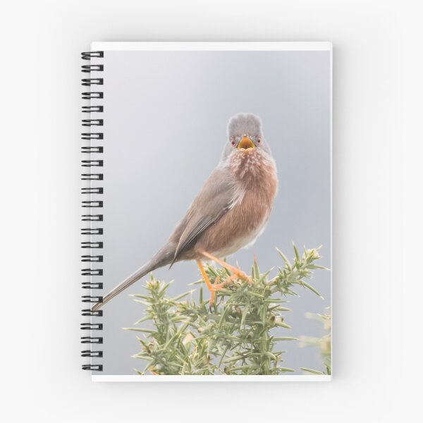 Item preview, Dartford Warbler designed and sold by LaurenTucker.
