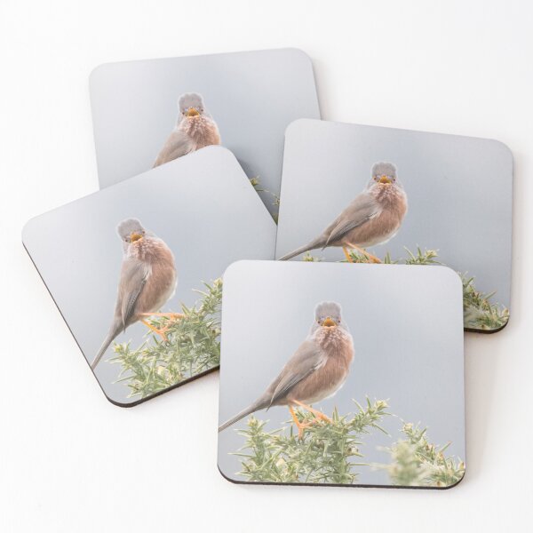 Item preview, Dartford Warbler designed and sold by LaurenTucker.