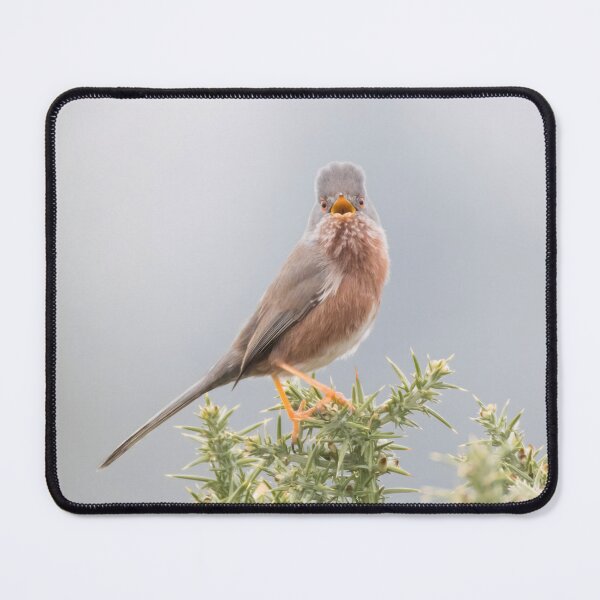 Item preview, Dartford Warbler designed and sold by LaurenTucker.