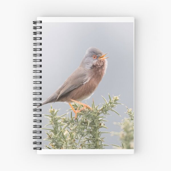 Item preview, Dartford Warbler designed and sold by LaurenTucker.