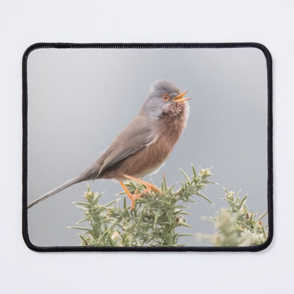 Item preview, Dartford Warbler designed and sold by LaurenTucker.