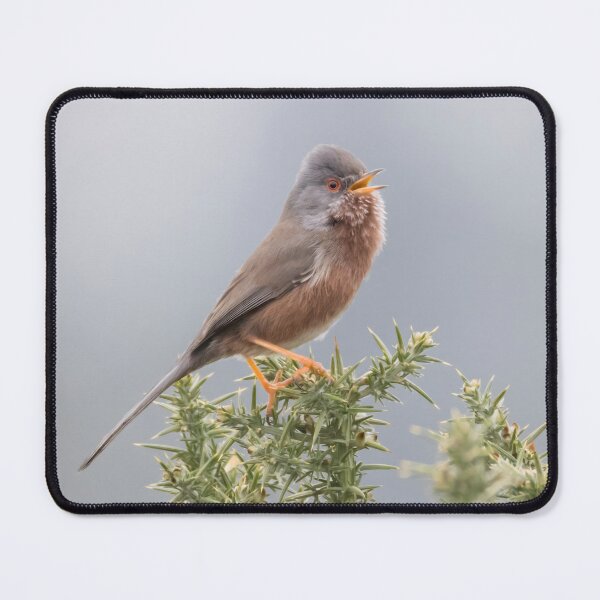 Item preview, Dartford Warbler designed and sold by LaurenTucker.