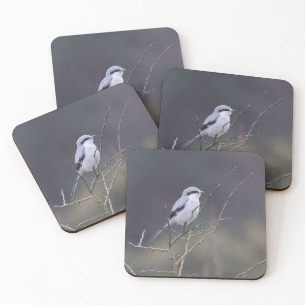 Item preview, Great Grey Shrike designed and sold by LaurenTucker.