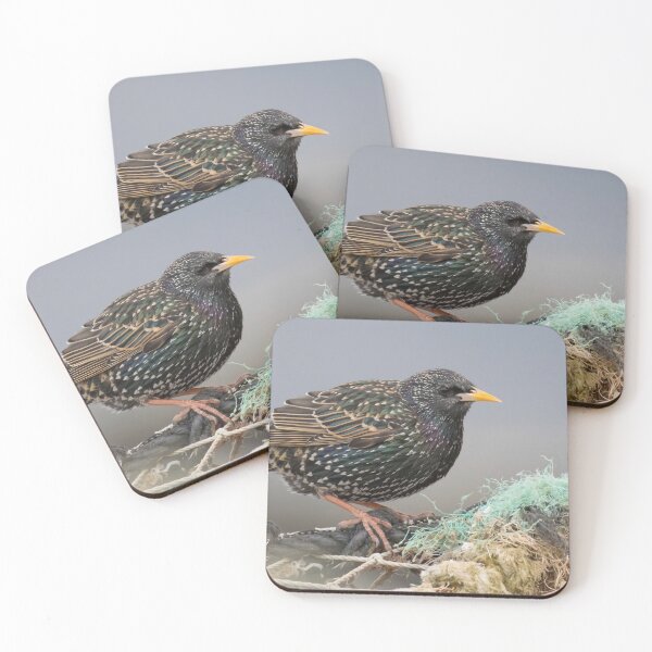Item preview, Common Starling designed and sold by LaurenTucker.