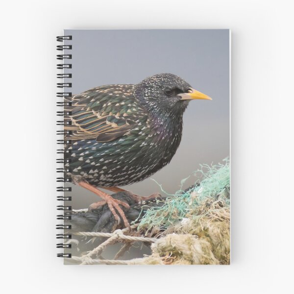 Item preview, Common Starling designed and sold by LaurenTucker.
