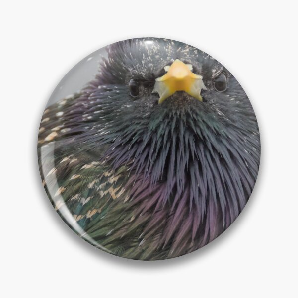 Item preview, Common Starling designed and sold by LaurenTucker.