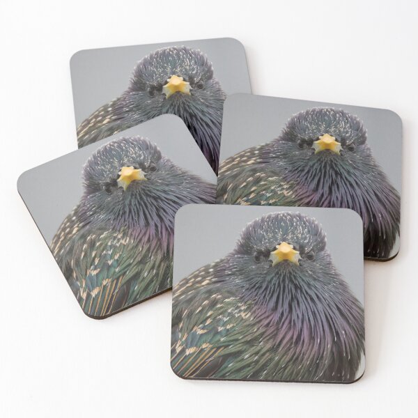 Item preview, Common Starling designed and sold by LaurenTucker.
