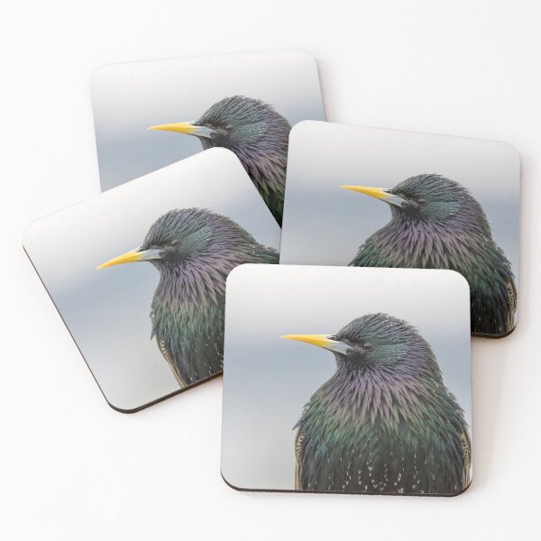 Item preview, Common Starling designed and sold by LaurenTucker.