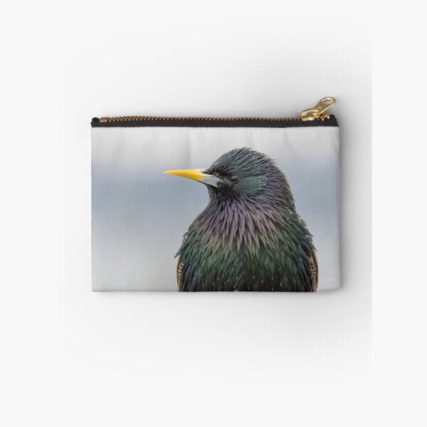 Item preview, Common Starling designed and sold by LaurenTucker.