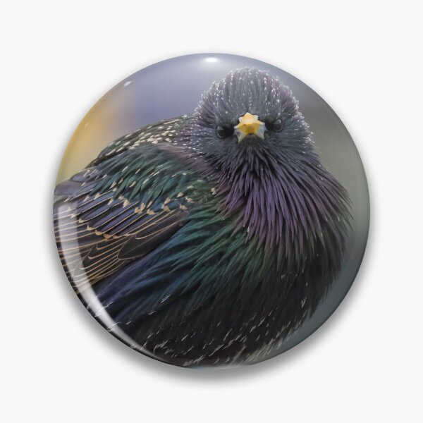 Item preview, Common Starling designed and sold by LaurenTucker.
